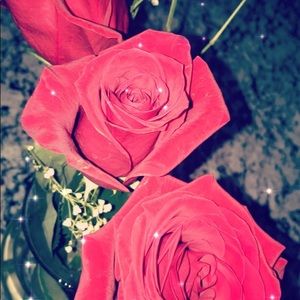 Meet your Posher, Tia